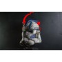 ARC Trooper Echo Helmet Damaged
