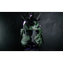 Tactical Tiger Stripe Bacara Helmet ROTS